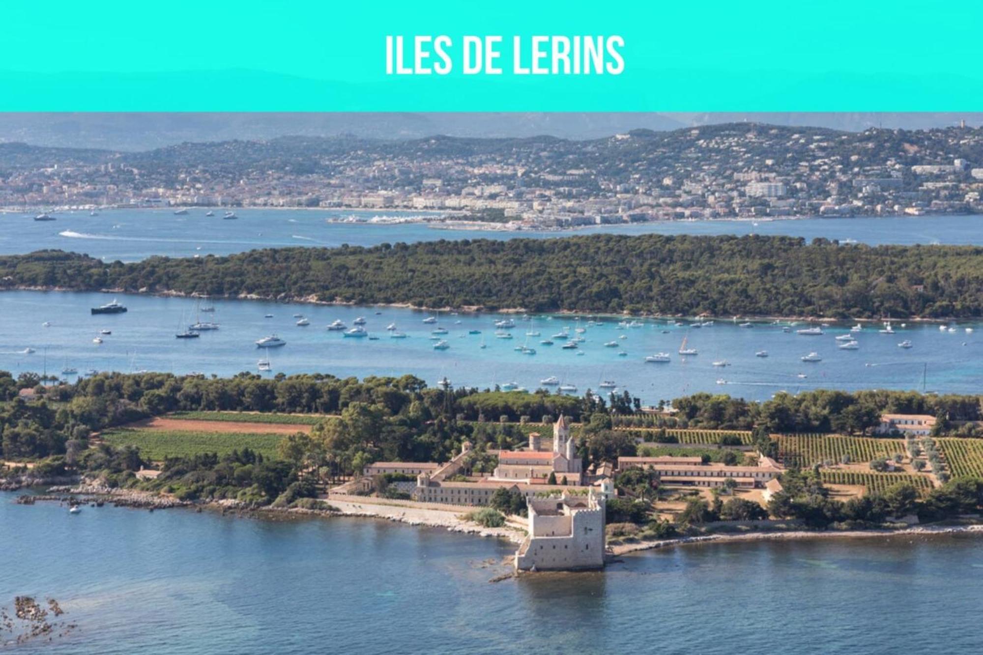 Les Sorbiers - Centre Ville - Spacieux & Climatisation Κάννες Εξωτερικό φωτογραφία